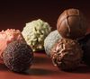 Polvo de cacao