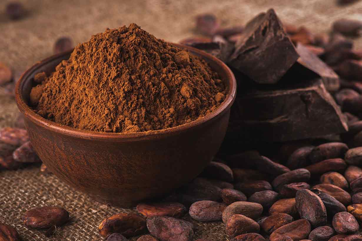 Polvo de cacao
