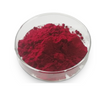 Uso terapéutico del polvo rojo oscuro estable de la vitamina B12